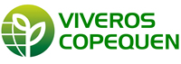 Web Logo  VCopequen