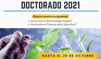 not doctorado 2021