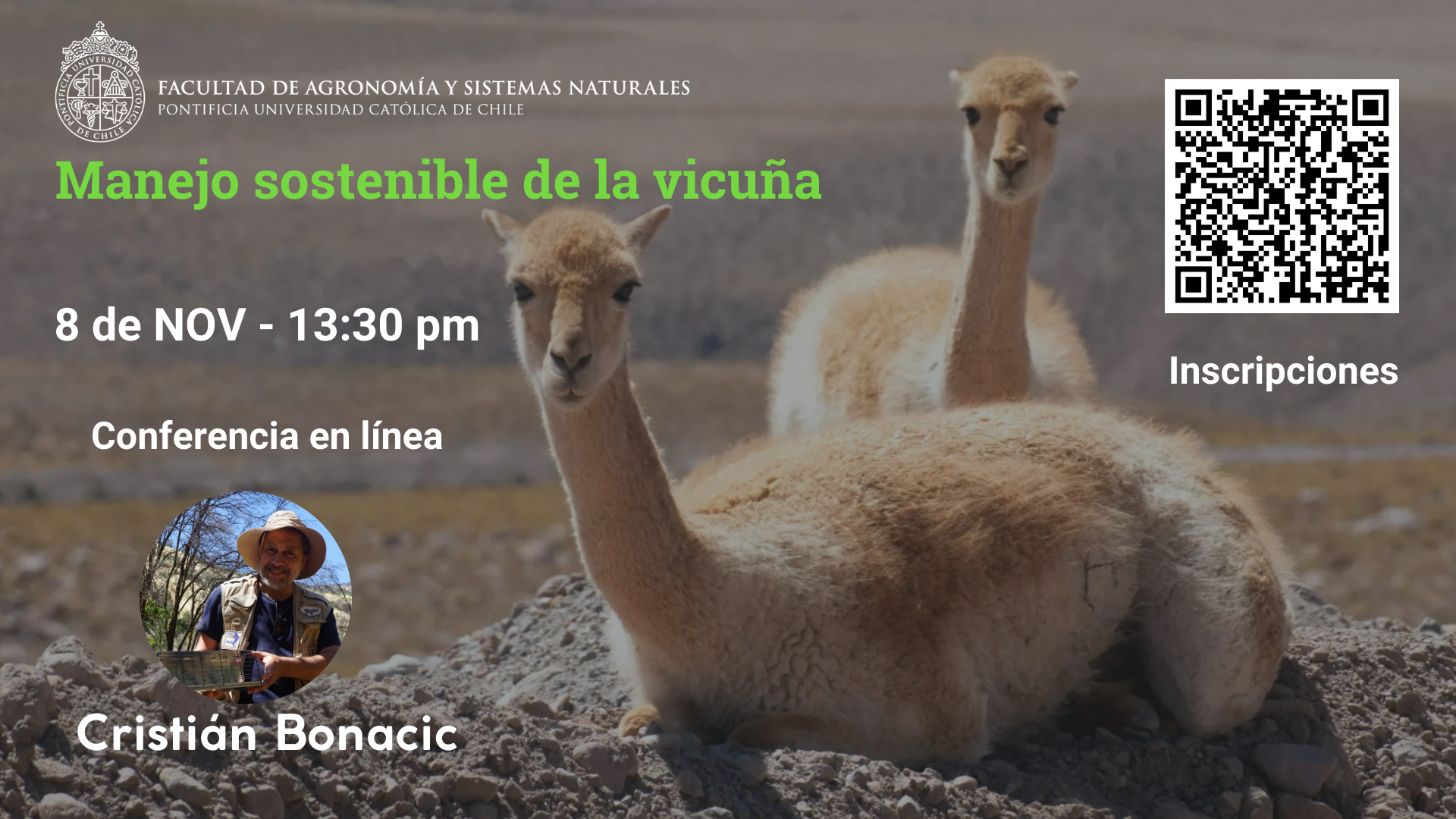 Afiche Bonacic Llama