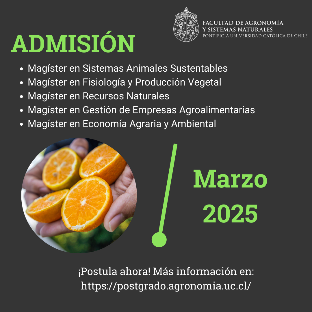 Magísters marzo 2025