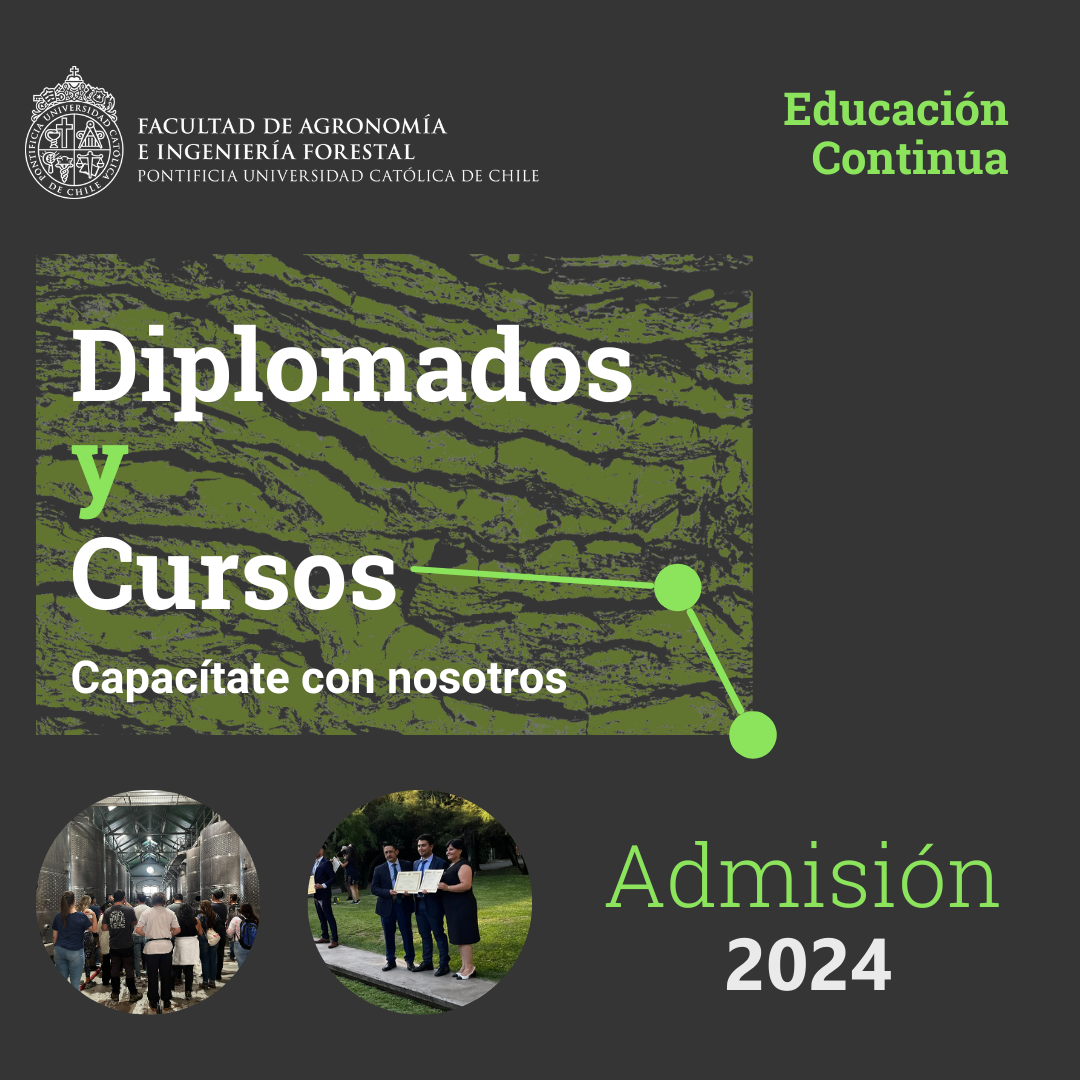 Diplomados FAIF 2024