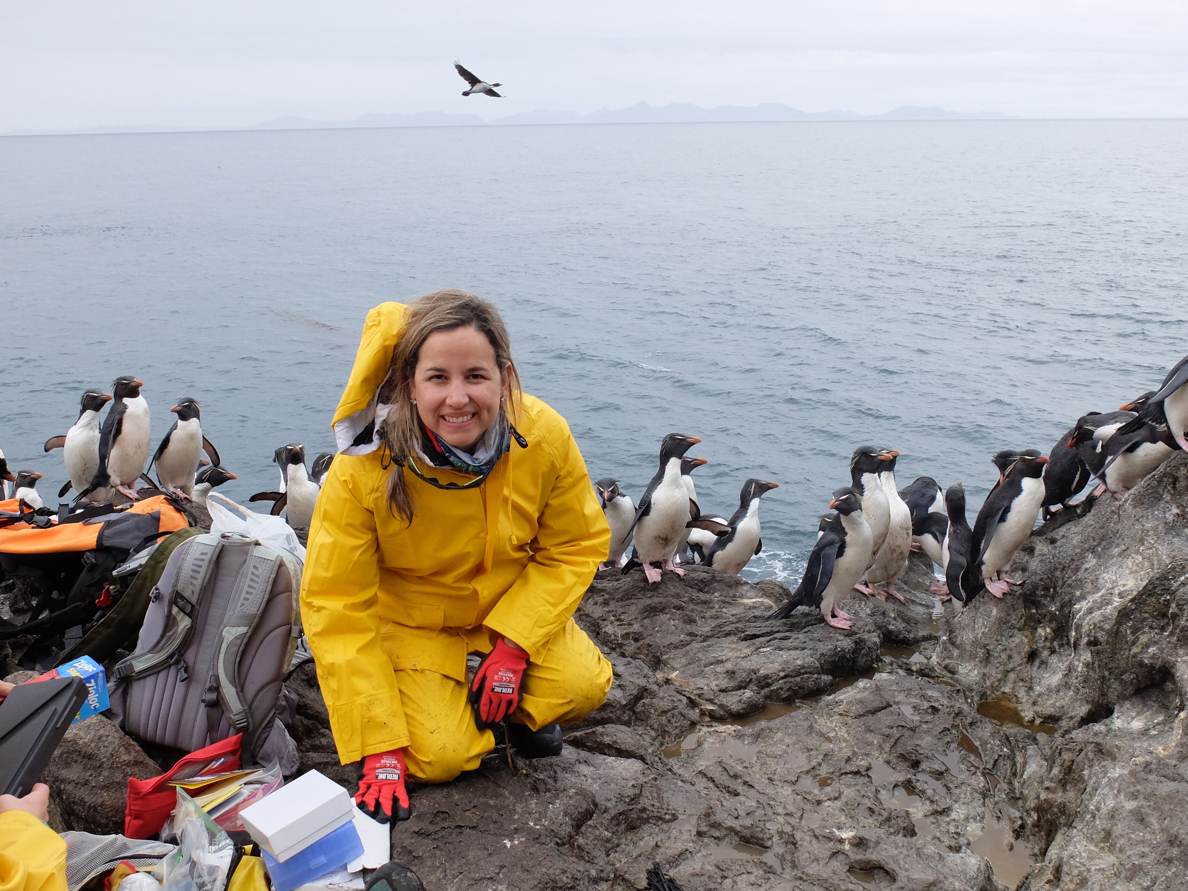 Juliana Vianna en una de las campañas antárticas para el estudio del genóma de pingüinos.