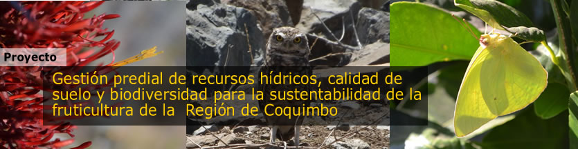 biodiversidad coquimbo version final