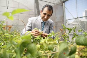 Decano Rodrigo Figueroa en el invernadero de la Facultad