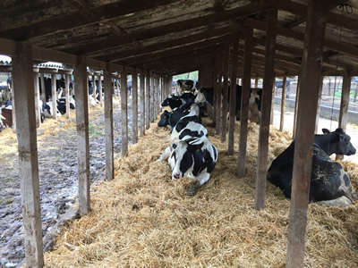 Fundación Agro UC_01