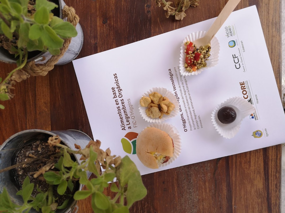 Muestra de diversos platos elaborados en base a legumbres: bombones, ensaladas frías, hamburguesas y snacks son algunas de las opciones para agregar valor a las leguminosas.