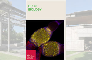 OpenBiology