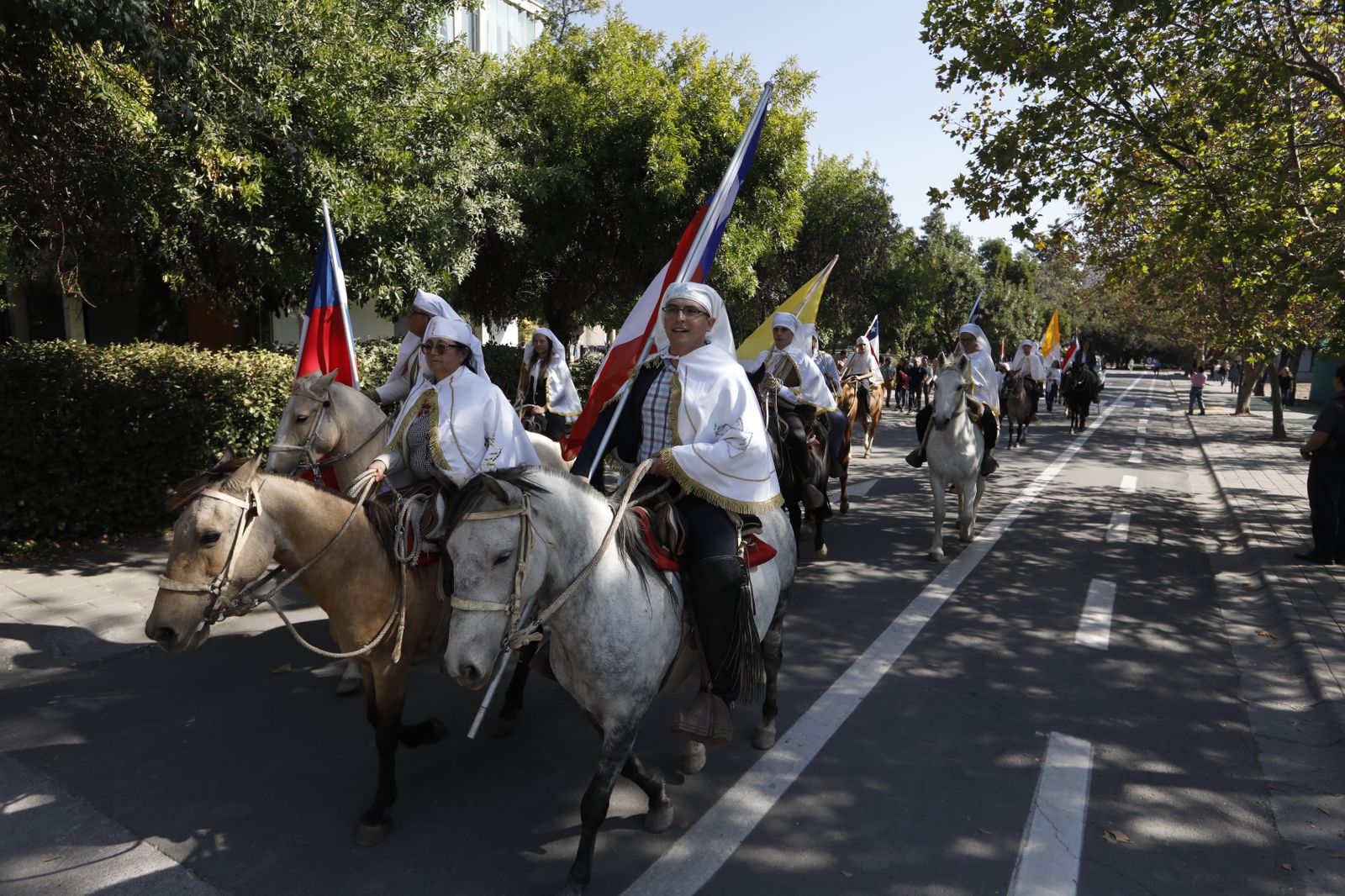 WhatsApp Image 2024-04-09 at 15.14.43 1