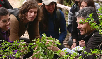 acreditacionIF abril