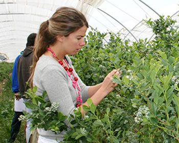 alumnot-terreno-2015