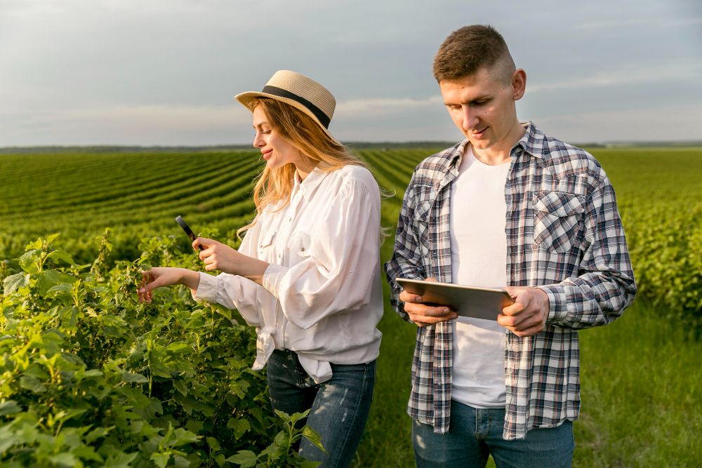 Pareja inspeccionando plantas en un viñedo con herramientas modernas