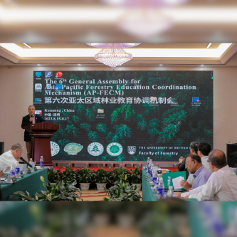 bonacic asia pacífico web