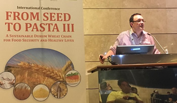 congreso andres Italia