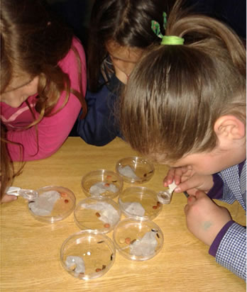 explora fruticultura2