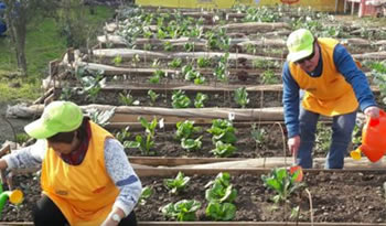 faif proyecto vrural