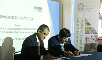 firma ciren