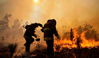 incendios forestales