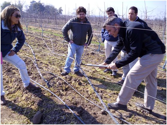 investigador canadiense 2