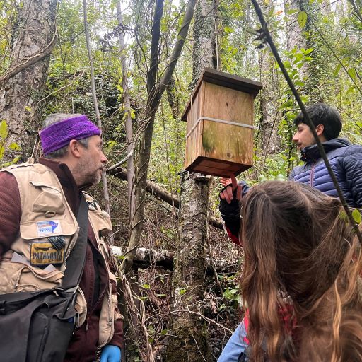 El profesor Cristian Bonacic junto al investigador del laboratorio Fauna Australis Fernando Novoa