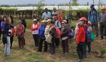 not biodiversidad rancagua
