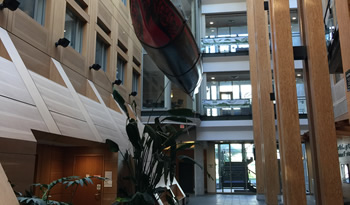 not convenio UBritishC