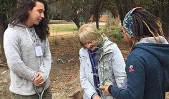 not forestacion Pirque2