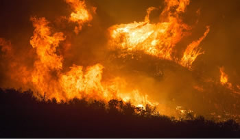 not incendio bosques