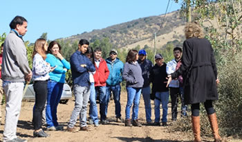 not proyecto vi region