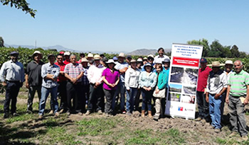 not viticultores VIregion