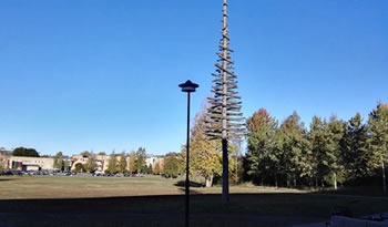 pasantía PFernandez