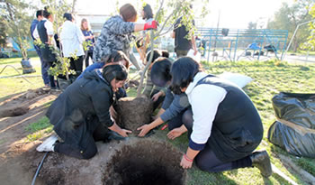 proyecto liceo SanBernardo