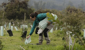 tres talleres incendios