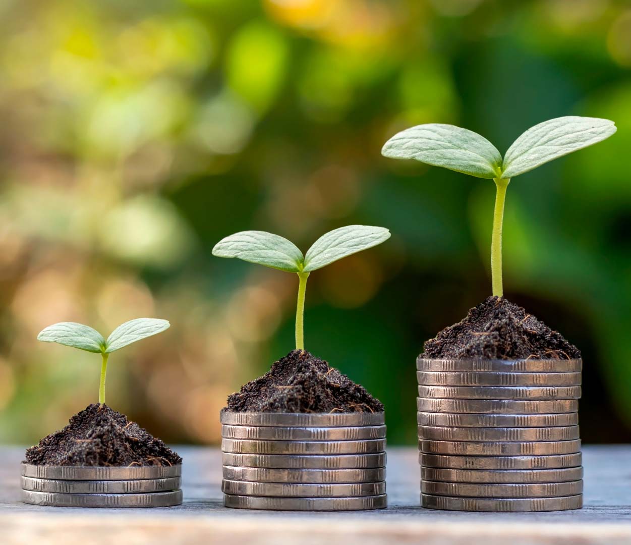 Imágenes Magíster EAA – 2