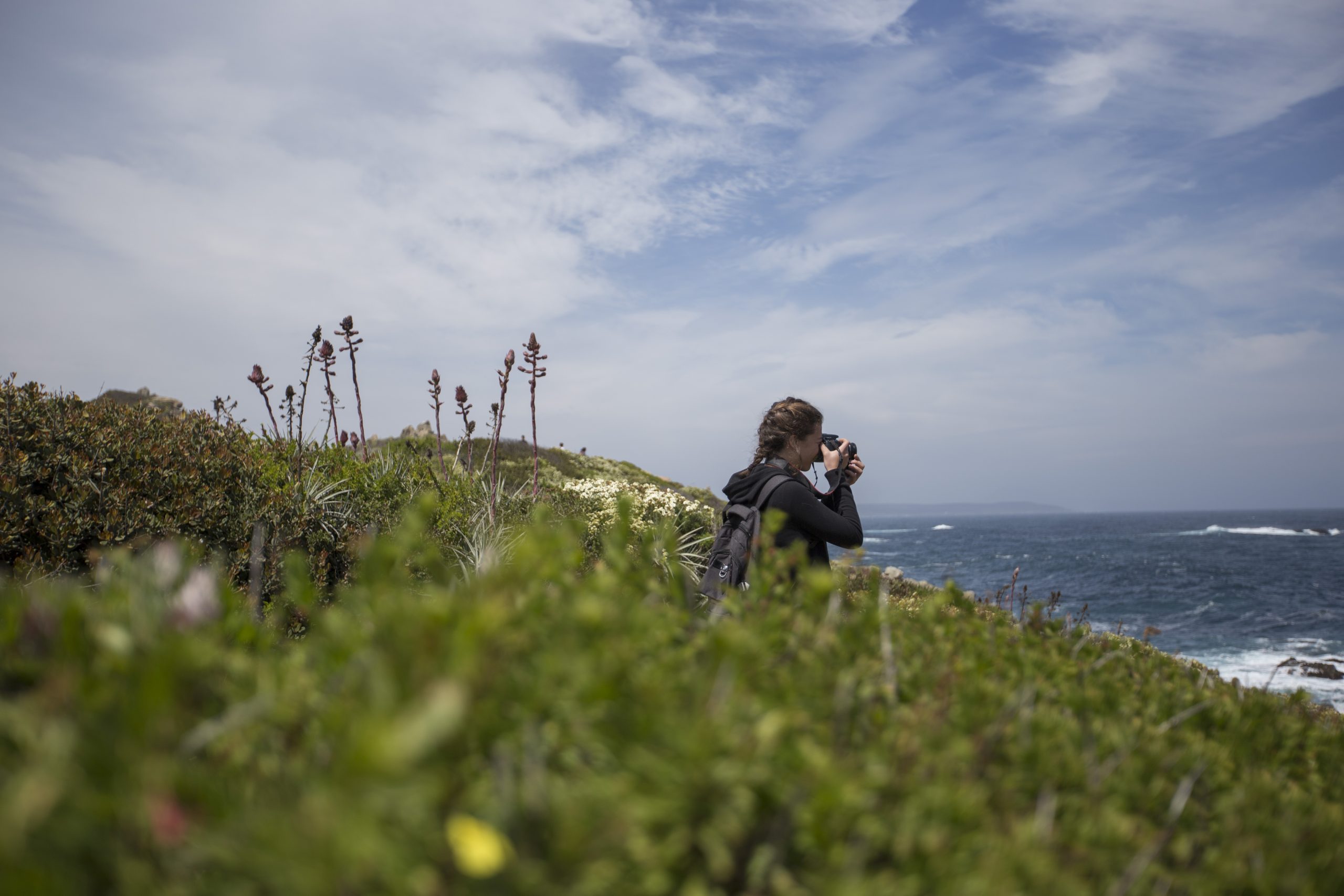 Salida terreno curso flora nativa de agronomía.