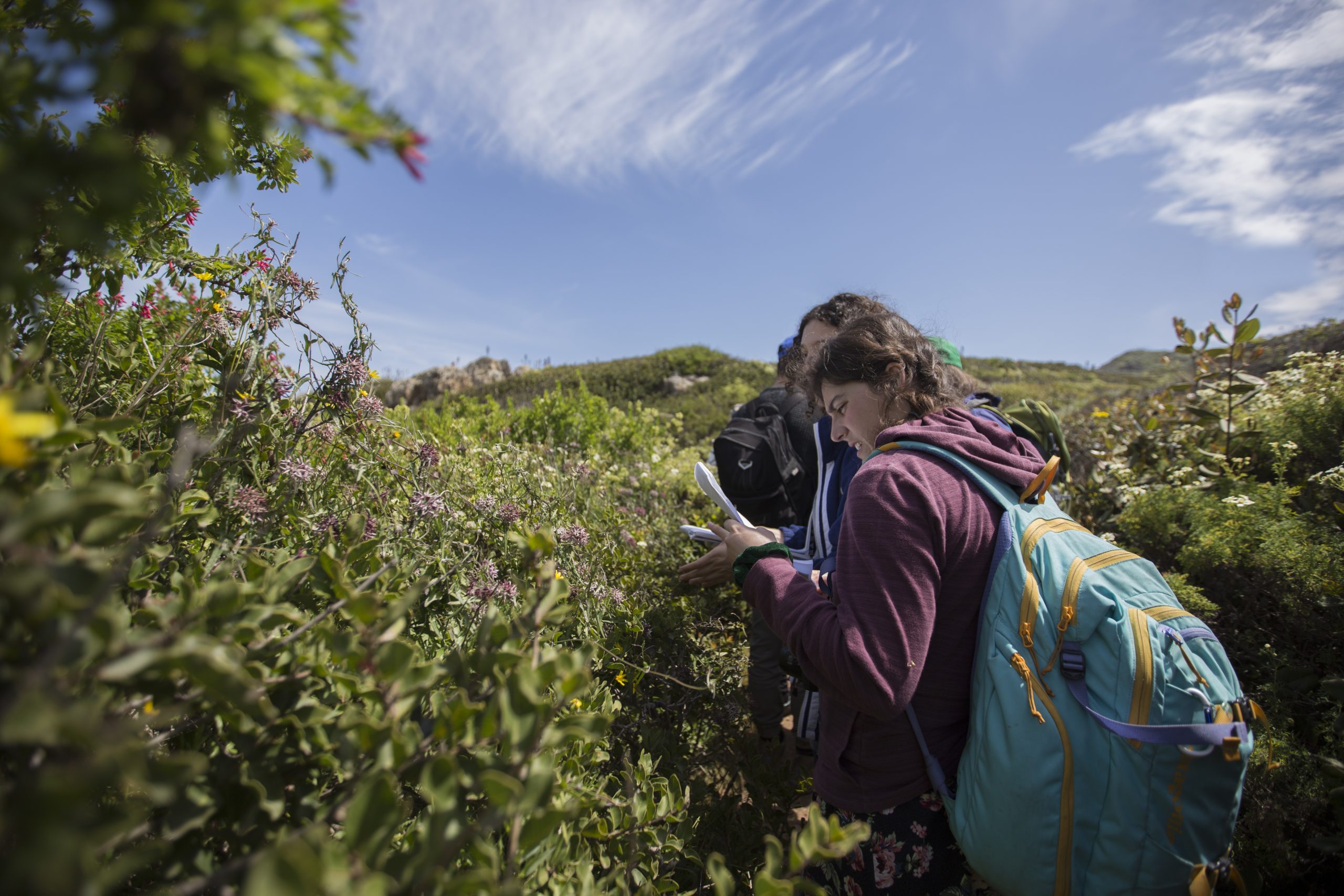 Salida terreno curso flora nativa de agronomía.